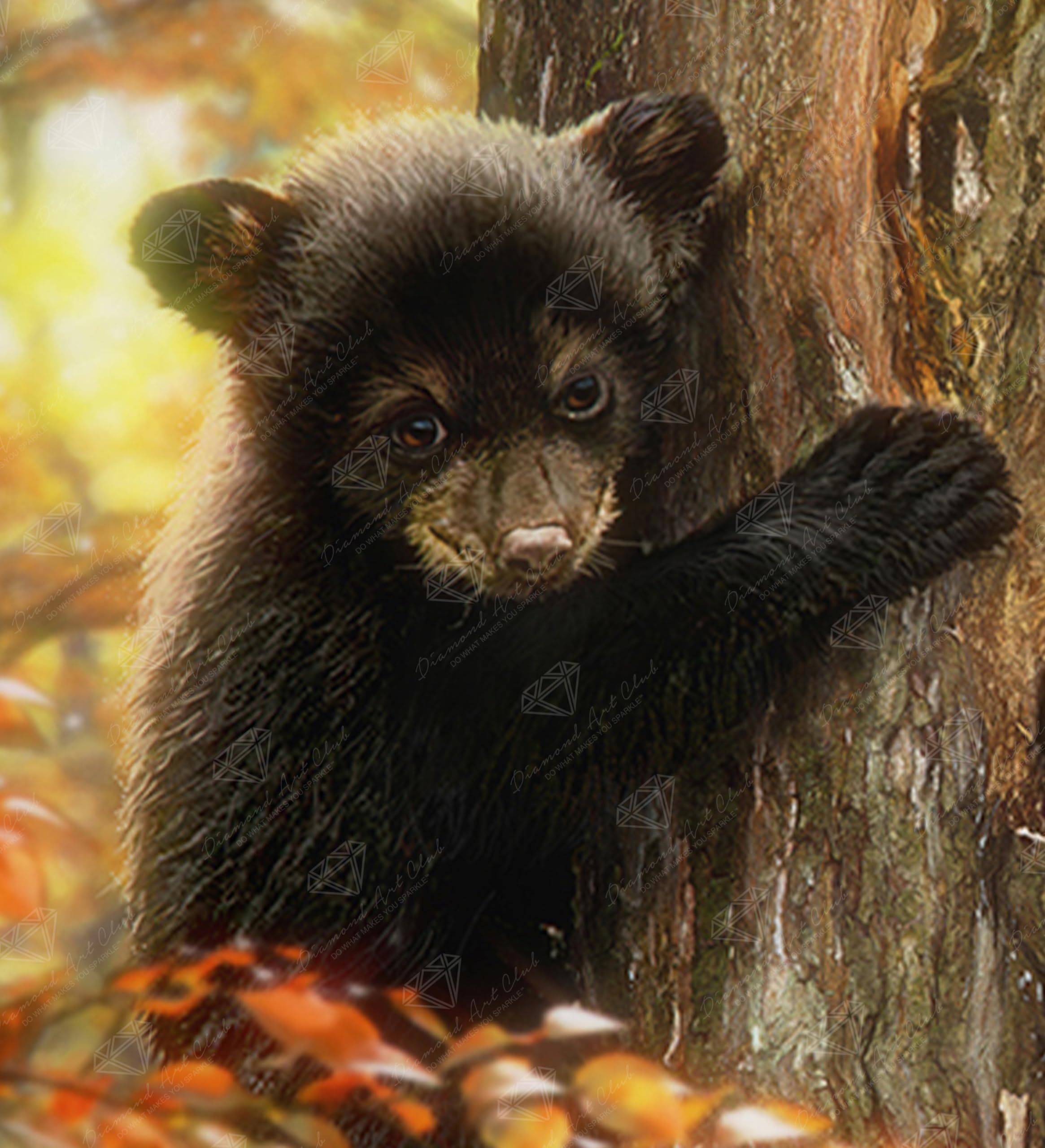 Amazon.com: DIAMOND ART CLUB Black Bear Diamond Art Kits for